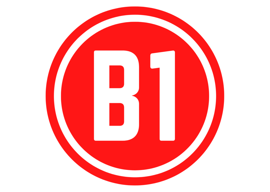 nivel b1