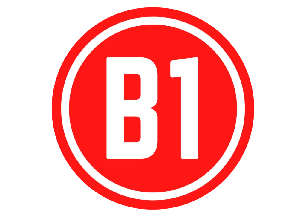 nivel b1